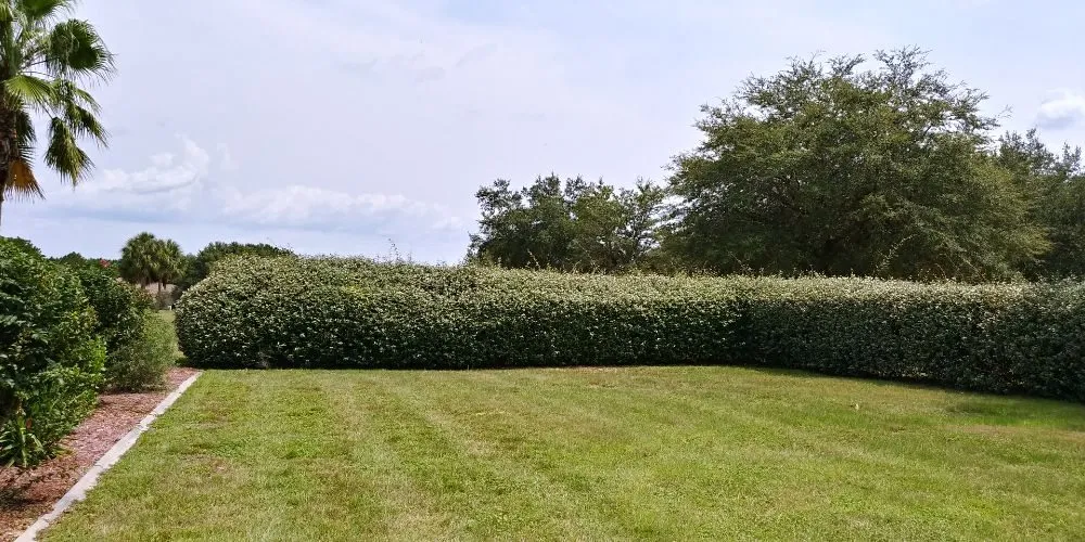 Professional lawn care service for outdoor upgrades across Floral City, FL - Mitchel Searle Lawn and Tree Services