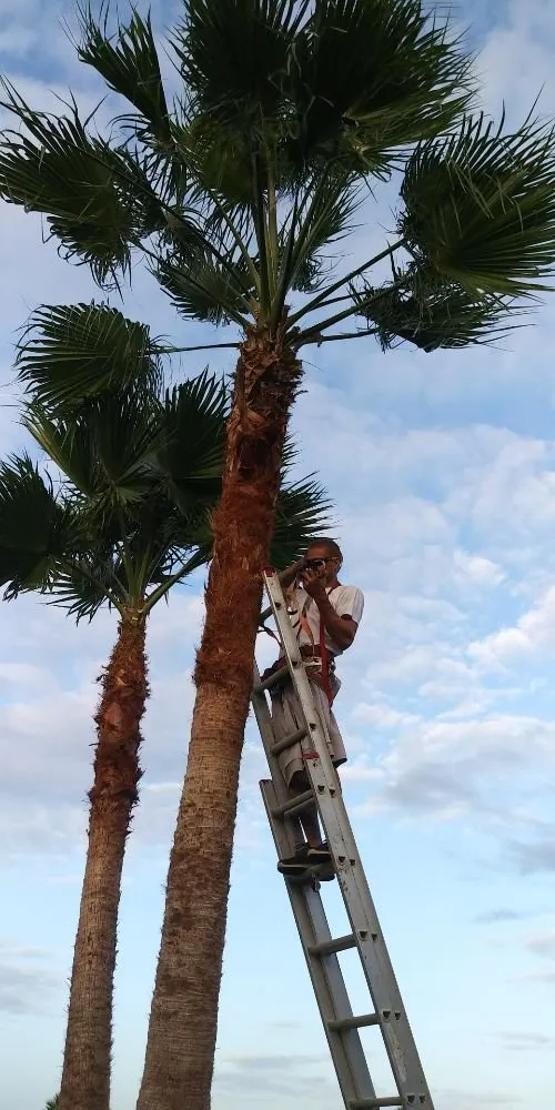 Top-rated landscaping services for year-round maintenance across Floral City, FL - Mitchel Searle Lawn and Tree Services