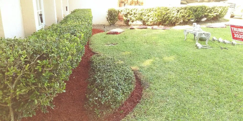 Affordable lawn care service experts serving Floral City, FL - Mitchel Searle Lawn and Tree Services