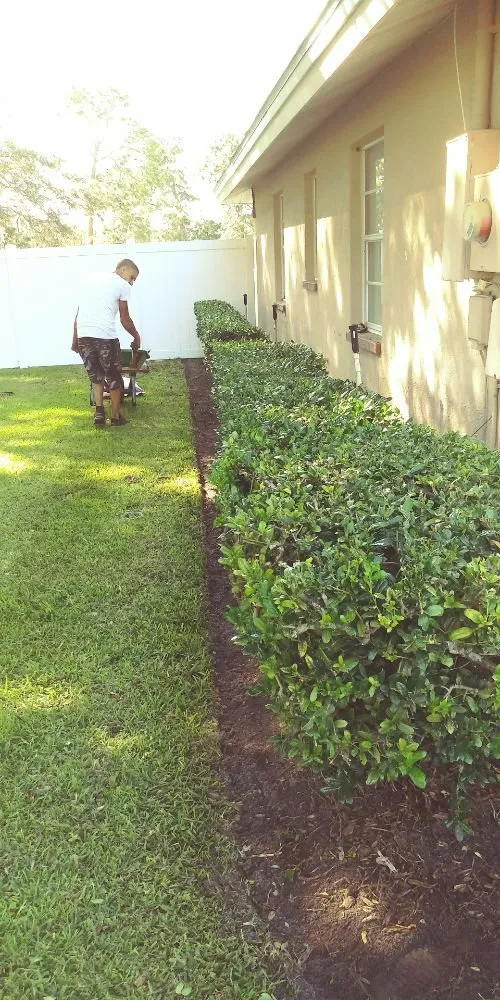 Top-rated lawn care service in Floral City, FL by Mitchel Searle Lawn and Tree Services