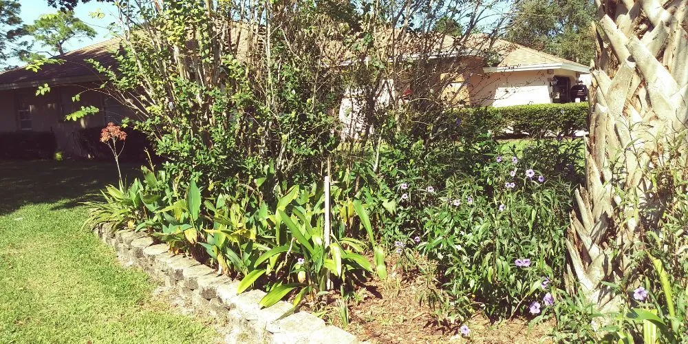 Affordable landscaping services experts serving Floral City, FL - Mitchel Searle Lawn and Tree Services