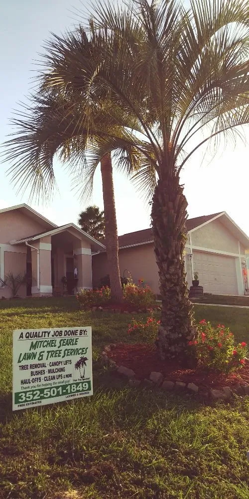 Professional outdoor landscaping in Floral City, FL by Mitchel Searle Lawn and Tree Services