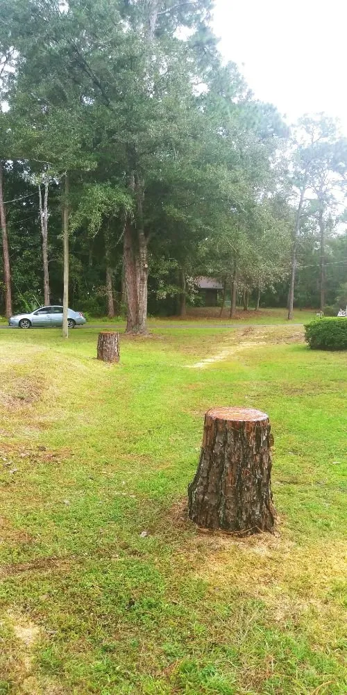 Professional garden landscaping in Floral City, FL by Mitchel Searle Lawn and Tree Services