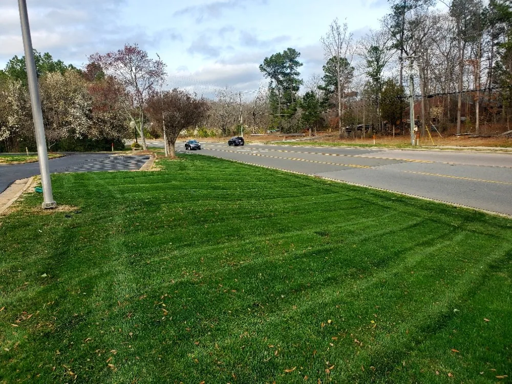 Top-rated landscaping services in Durham, NC - Mitchell & Best Landscaping