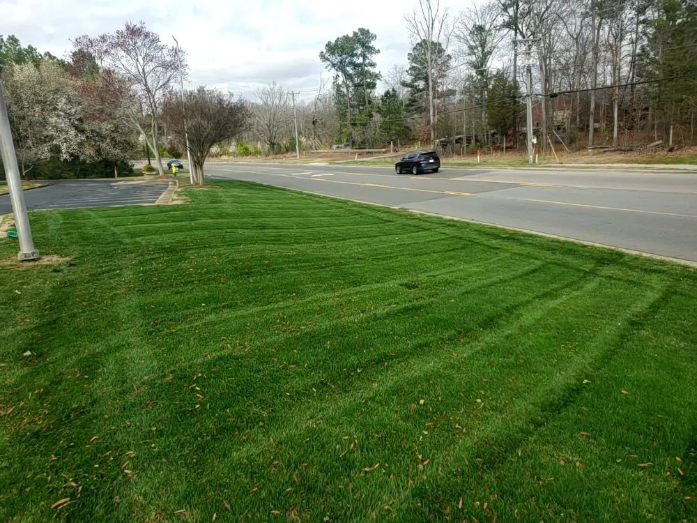 Expert lawn care service in Durham, NC by Mitchell & Best Landscaping