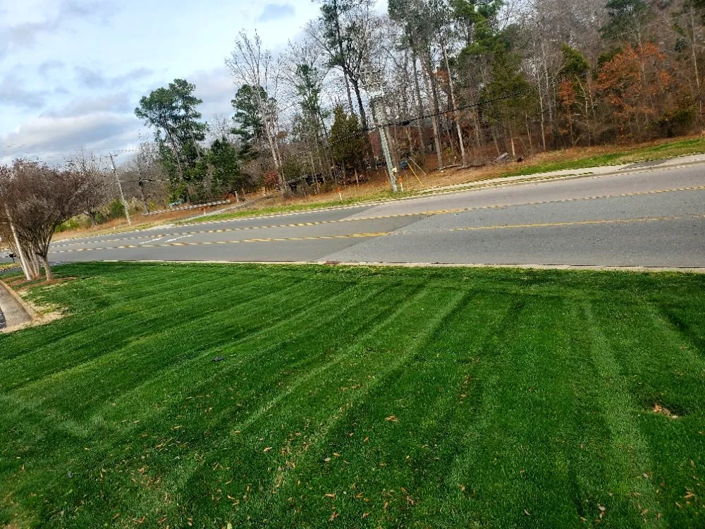 Local residential landscaping in Durham, NC by Mitchell & Best Landscaping