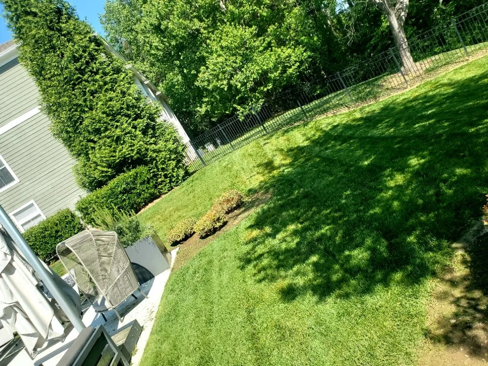 Local landscaping services in Durham, NC - Mitchell & Best Landscaping