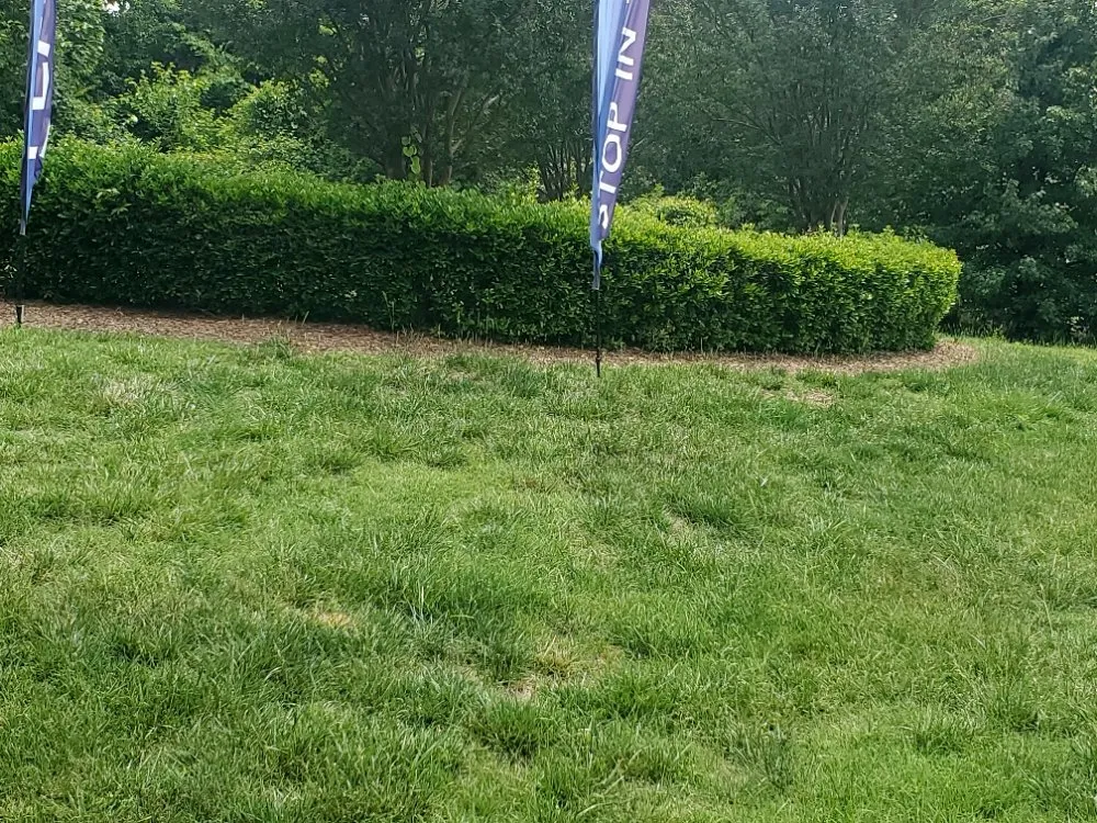 Custom landscape design in Durham, NC - Mitchell & Best Landscaping