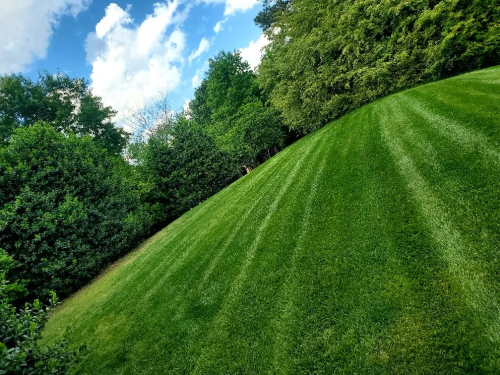 Local lawn care service in Durham, NC by Mitchell & Best Landscaping