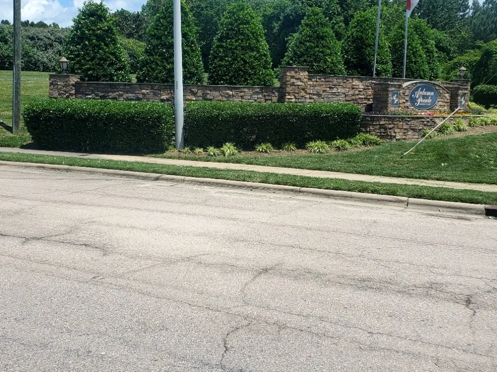 Expert yard cleanup service experts serving Durham, NC - Mitchell & Best Landscaping