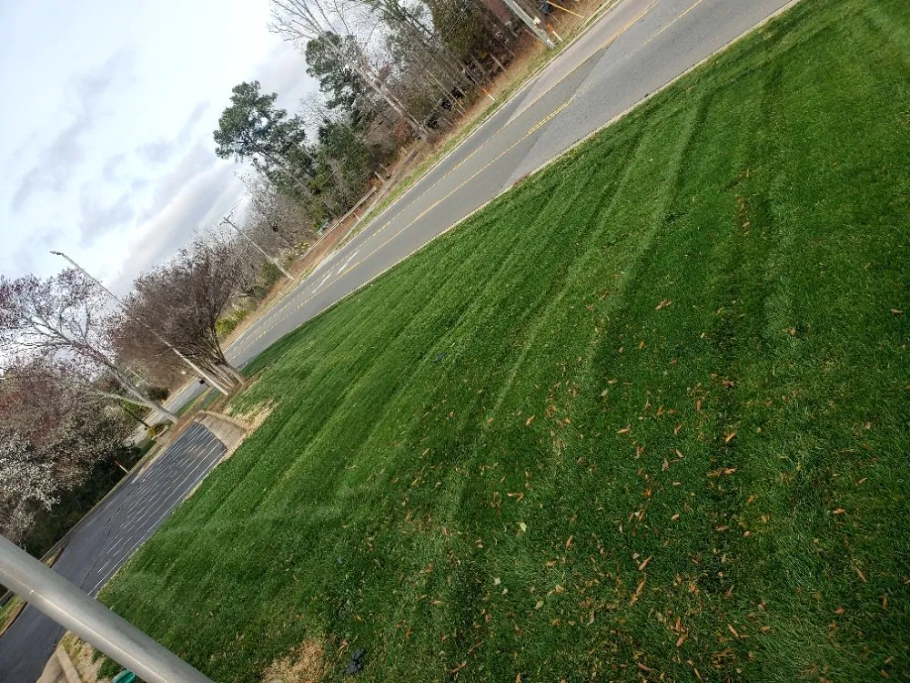 Top-rated yard maintenance in Durham, NC by Mitchell & Best Landscaping