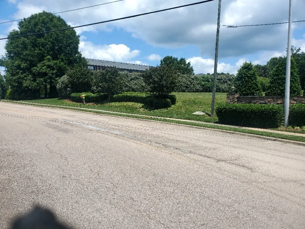 Expert lawn care service near you across Durham, NC - Mitchell & Best Landscaping