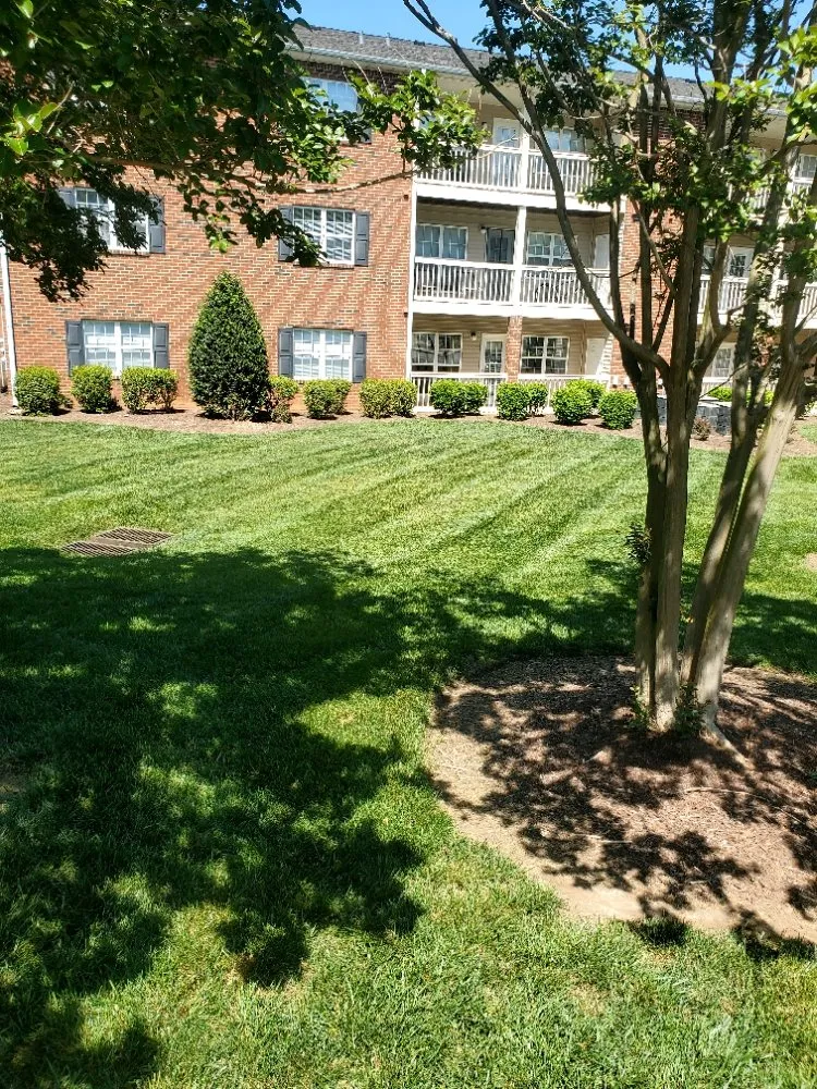 Custom garden landscaping for outdoor upgrades in Durham, NC by Mitchell & Best Landscaping