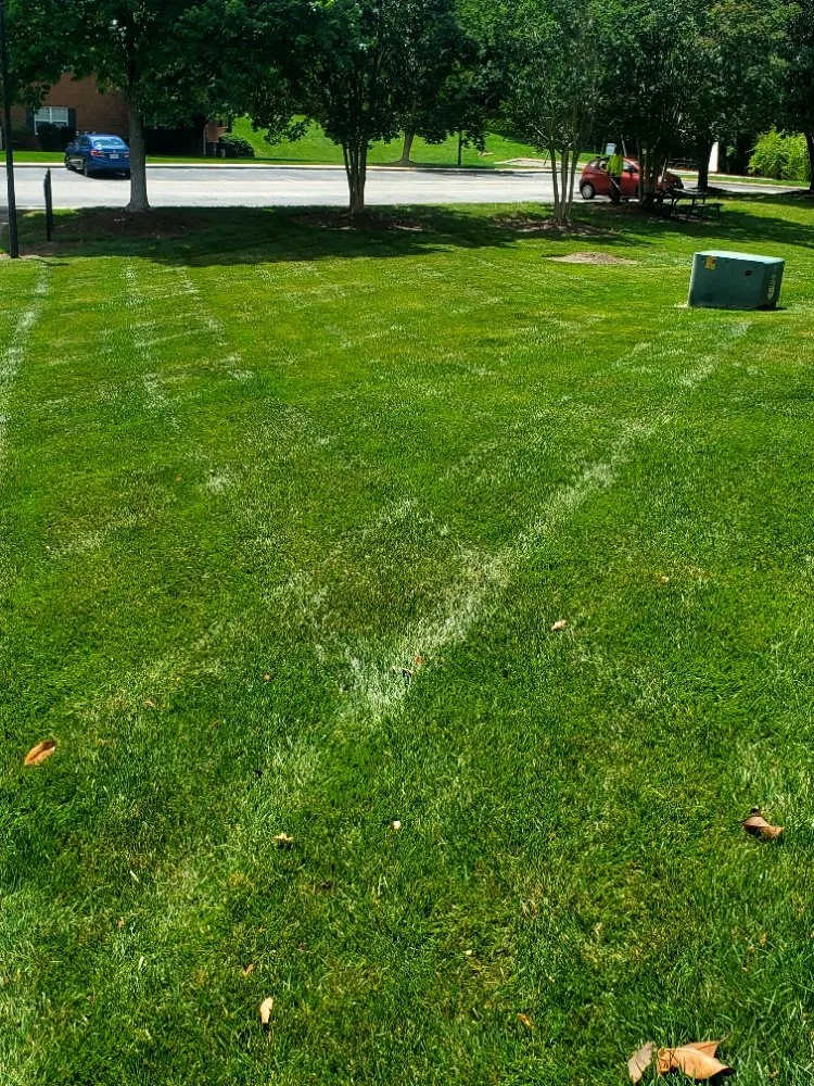 Expert lawn mowing service in Durham, NC by Mitchell & Best Landscaping