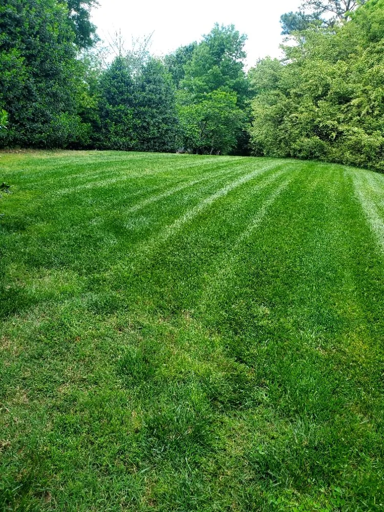 Custom landscaping services with custom design in Durham, NC by Mitchell & Best Landscaping