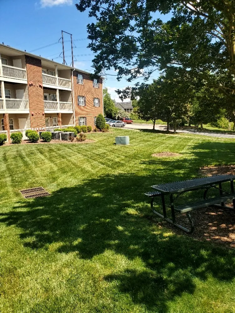 Top-rated landscape installation for beautiful yards in Durham, NC by Mitchell & Best Landscaping