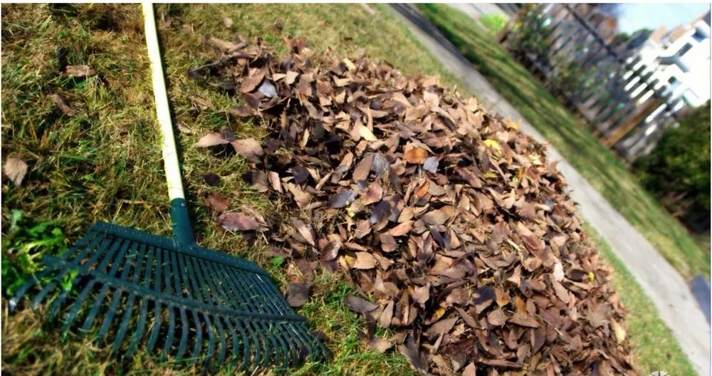 Local residential landscaping experts serving Cape Saint Claire, MD - Mitchell & Sons Landscaping