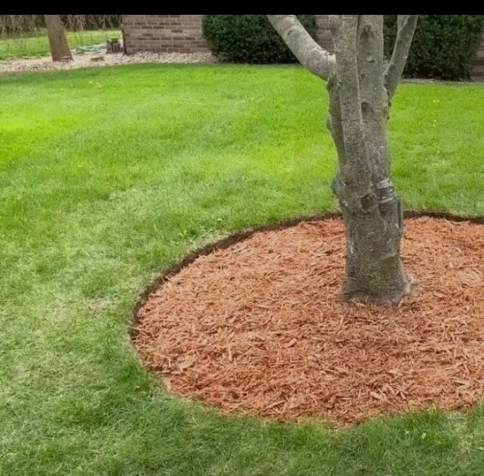 Local landscaping services experts serving Cape Saint Claire, MD - Mitchell & Sons Landscaping