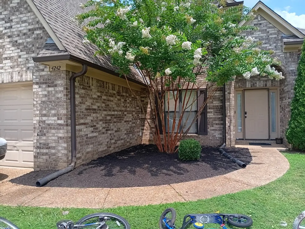 Reliable landscape installation experts serving Olive Branch, MS - Mitchell J's
