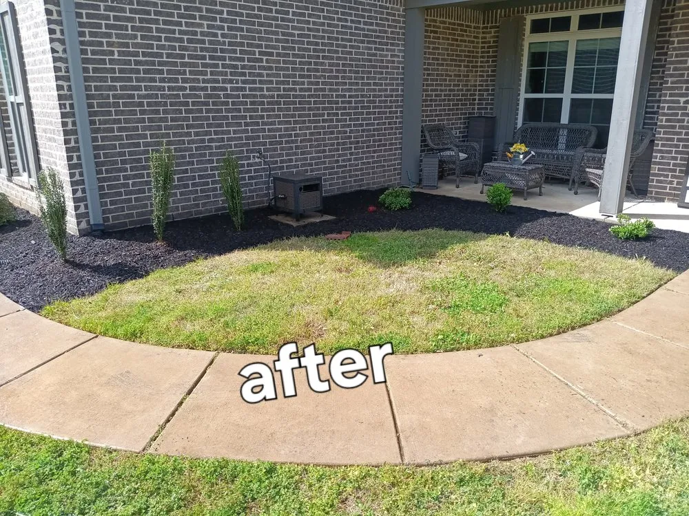 Trusted yard maintenance for year-round maintenance across Olive Branch, MS - Mitchell J's