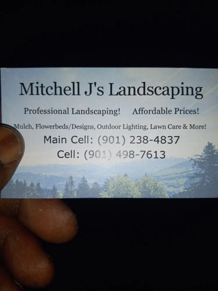 Custom landscaping services for homes across Olive Branch, MS - Mitchell J's