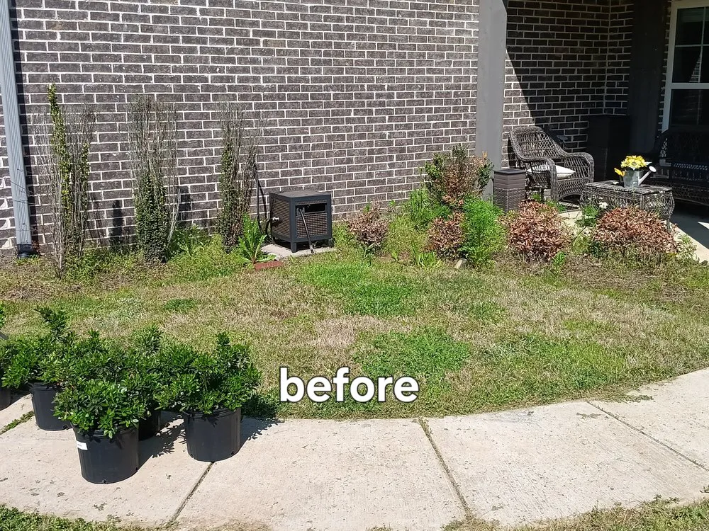 Professional outdoor landscaping in Olive Branch, MS by Mitchell J's