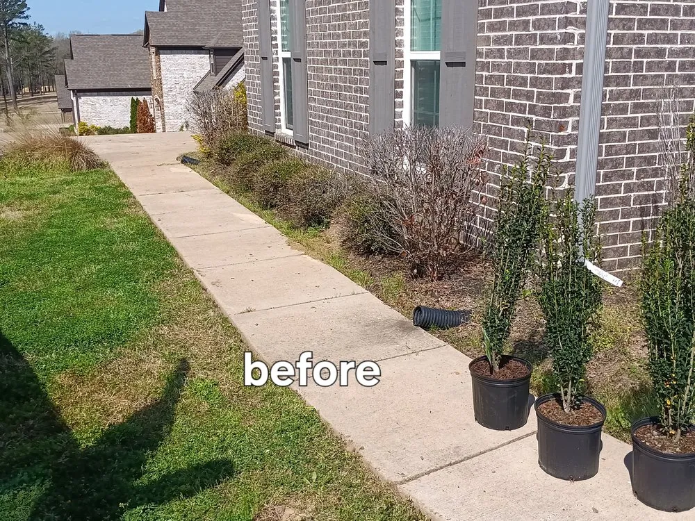 Reliable landscaping services experts serving Olive Branch, MS - Mitchell J's