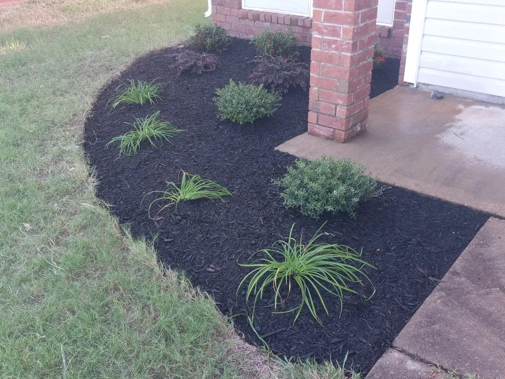 Professional lawn care service in Olive Branch, MS by Mitchell J's