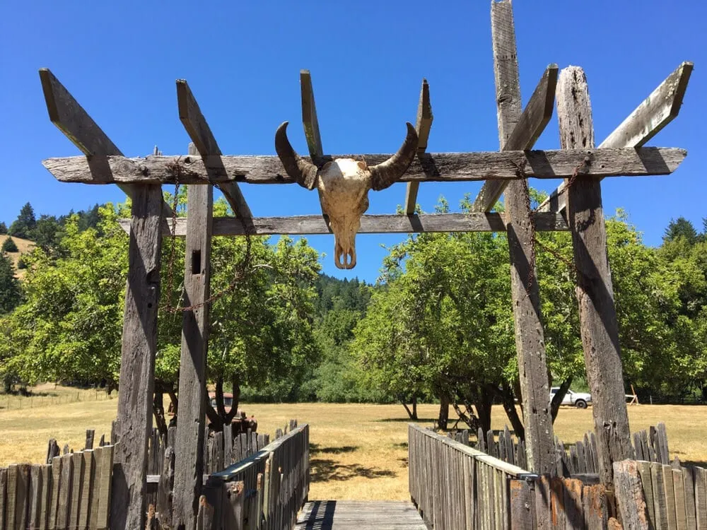 Professional lawn mowing service in Penngrove, CA by Mitchell Landscapes