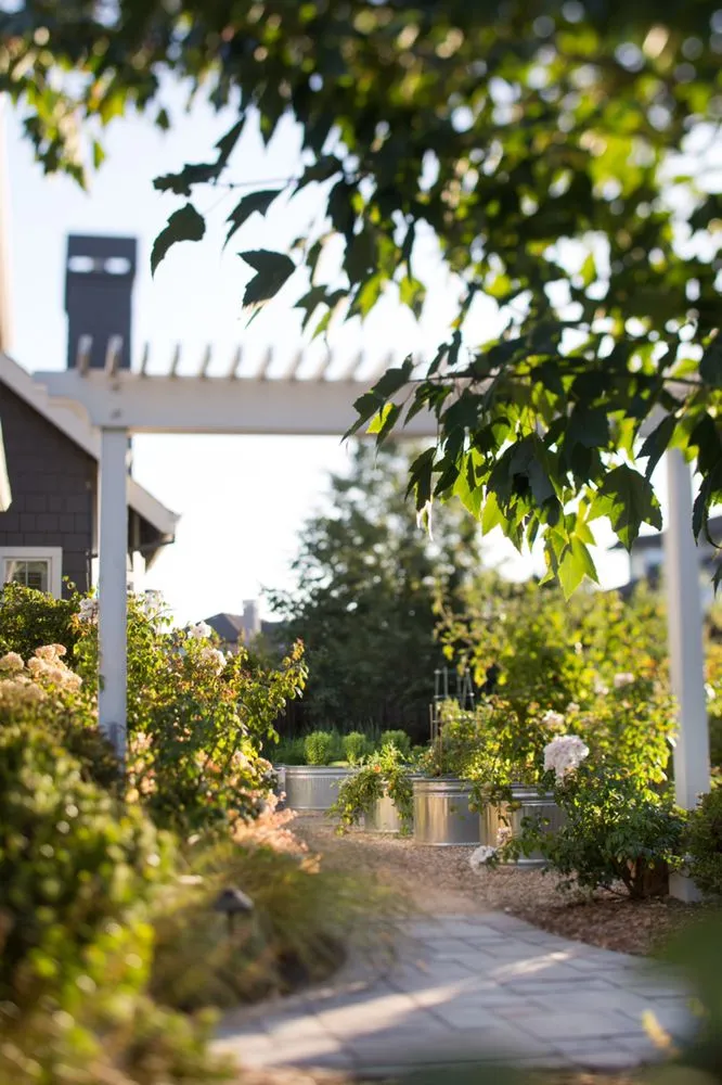 Professional yard maintenance with custom design across Penngrove, CA - Mitchell Landscapes