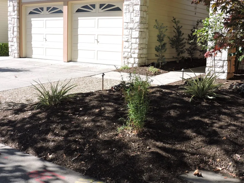 Trusted lawn care service in Penngrove, CA - Mitchell Landscapes