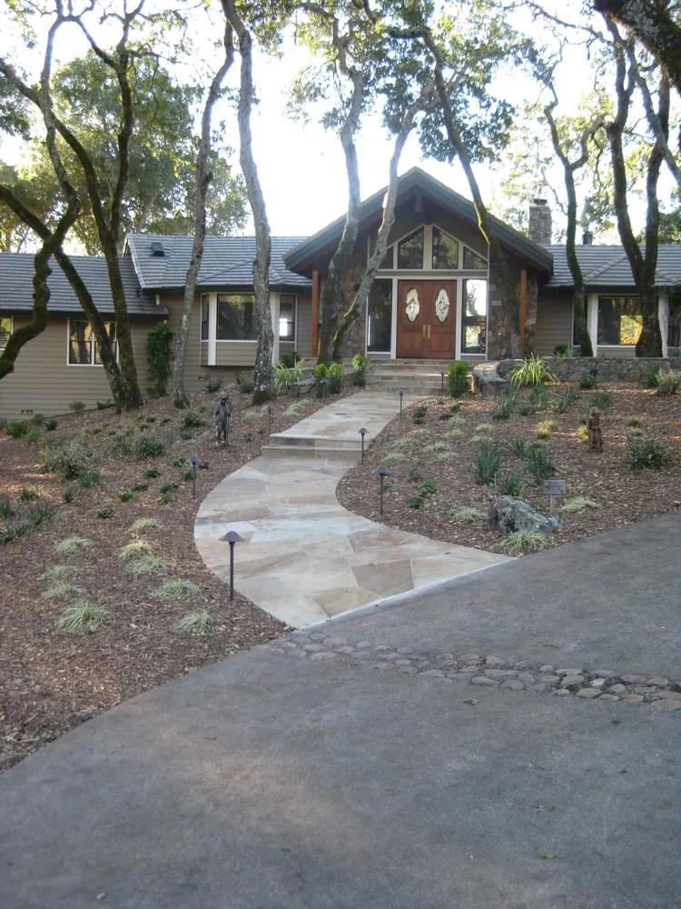 Local yard cleanup service in Penngrove, CA by Mitchell Landscapes