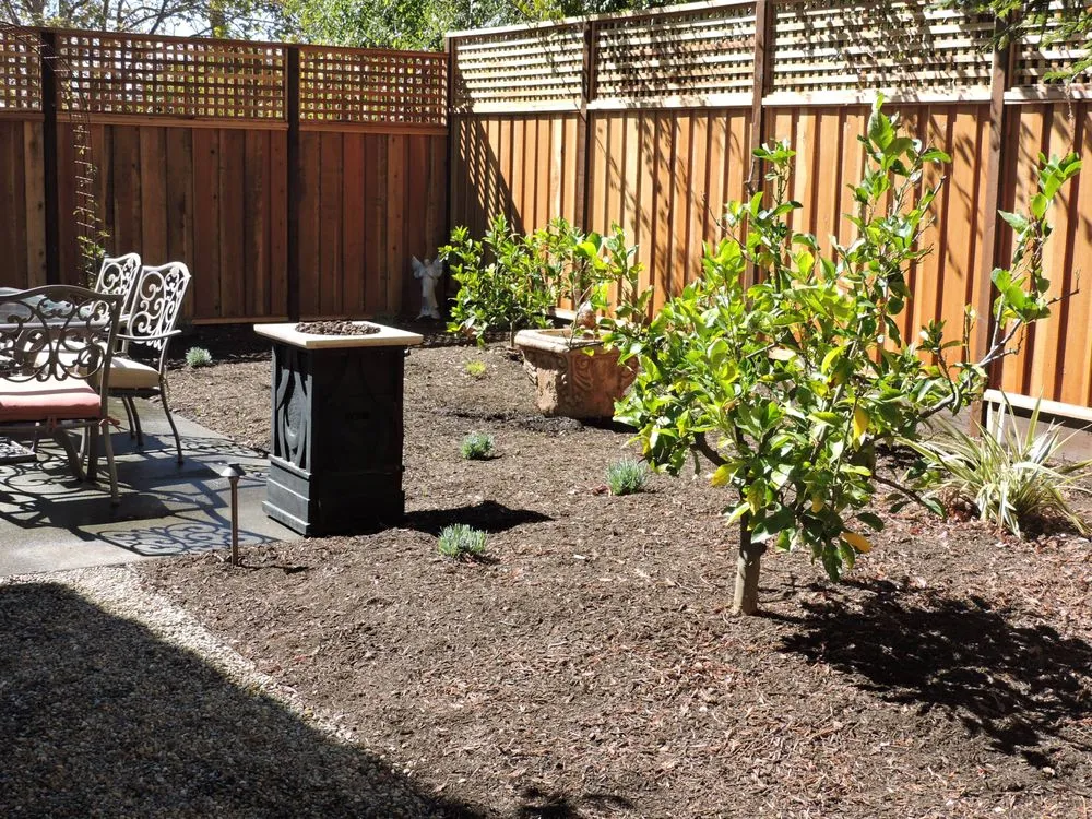 Reliable landscaping services in Penngrove, CA by Mitchell Landscapes