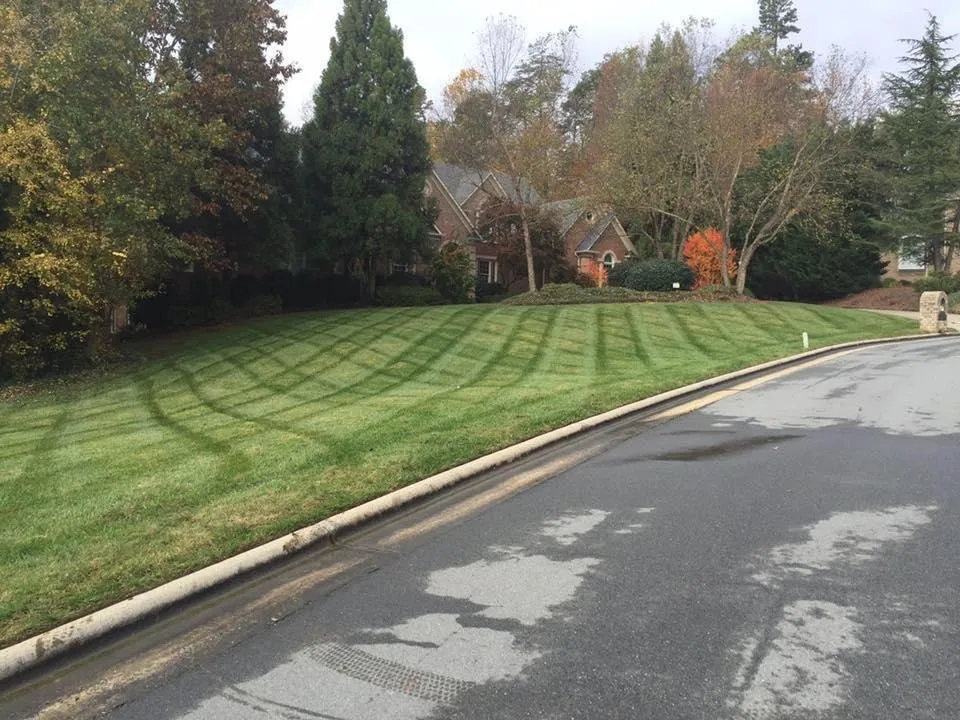 Affordable residential landscaping in Greensboro, NC by Mitchell Landscaping