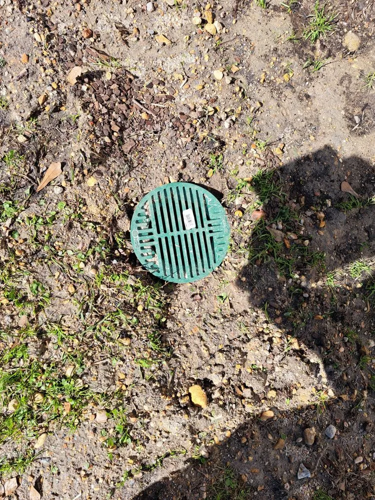 Custom lawn care service for year-round maintenance in Meridian, MS by Mitchell Landscaping