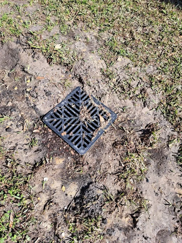 Trusted landscape installation in Meridian, MS - Mitchell Landscaping