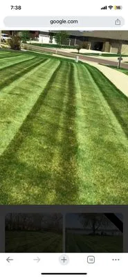 Mitchell Landscaping