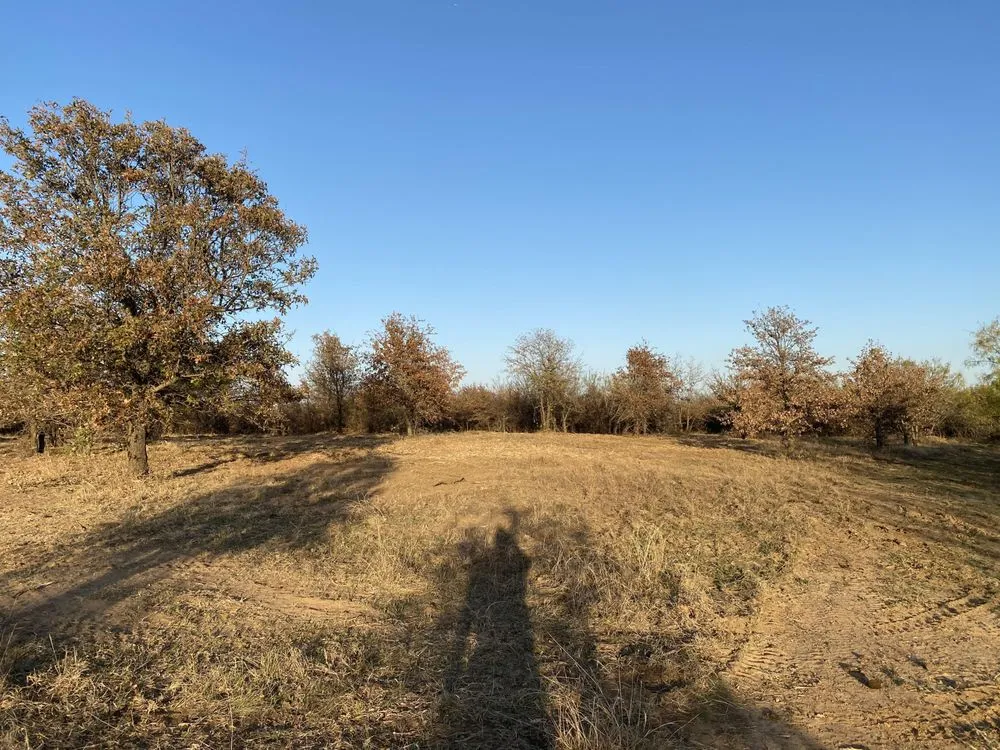 Reliable yard cleanup service experts serving Whitesboro, TX - Mitchell Landworks