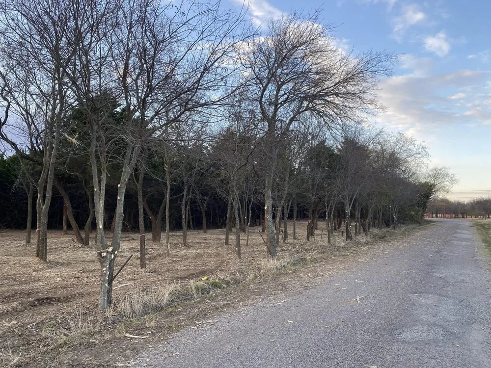 Local yard maintenance with custom design in Whitesboro, TX by Mitchell Landworks