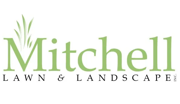 Professional yard cleanup service in Atlanta, GA by Mitchell Lawn & Landscape