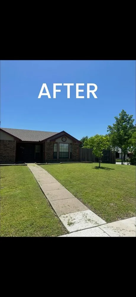 Professional landscape installation experts serving Dallas, TX - Mitchell Mowing