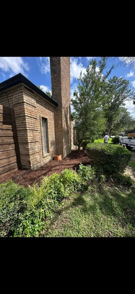 Affordable lawn care service in Dallas, TX - Mitchell Mowing