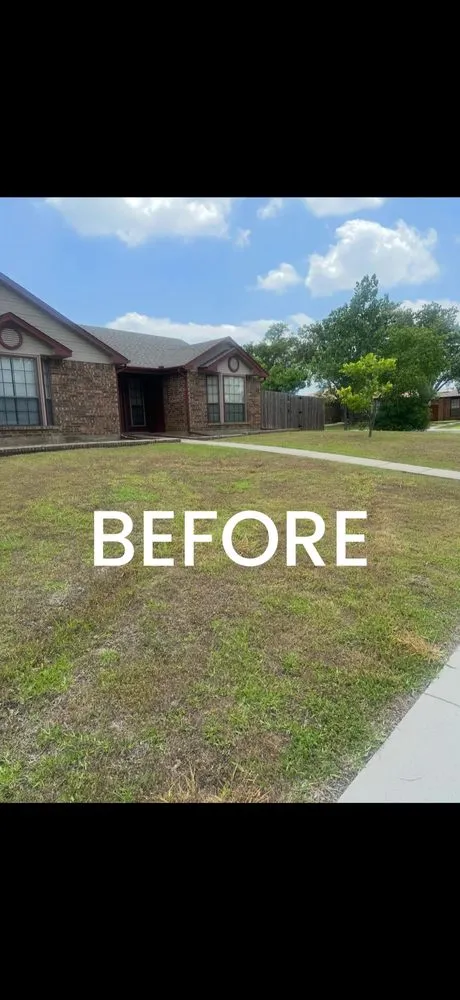 Custom yard cleanup service for homes in Dallas, TX by Mitchell Mowing
