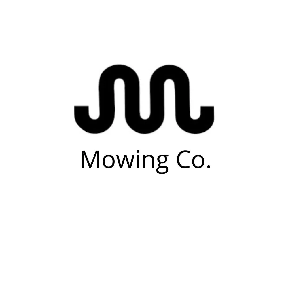 Custom yard cleanup service in Dallas, TX - Mitchell Mowing