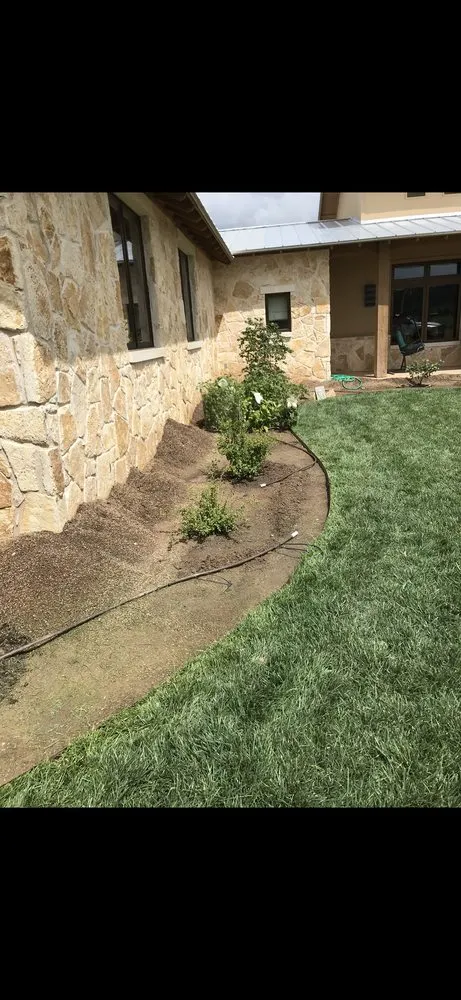 Top-rated lawn mowing service near you in Dallas, TX by Mitchell Mowing