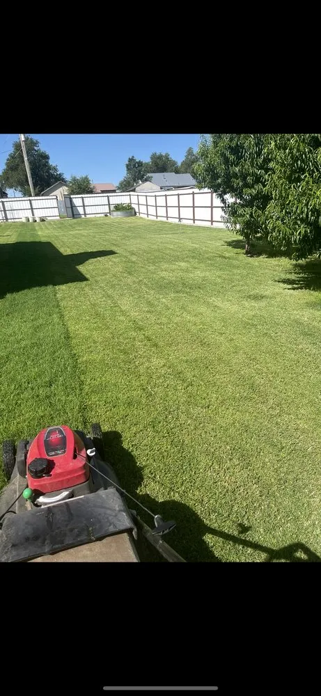 Local lawn care service experts serving Dallas, TX - Mitchell Mowing