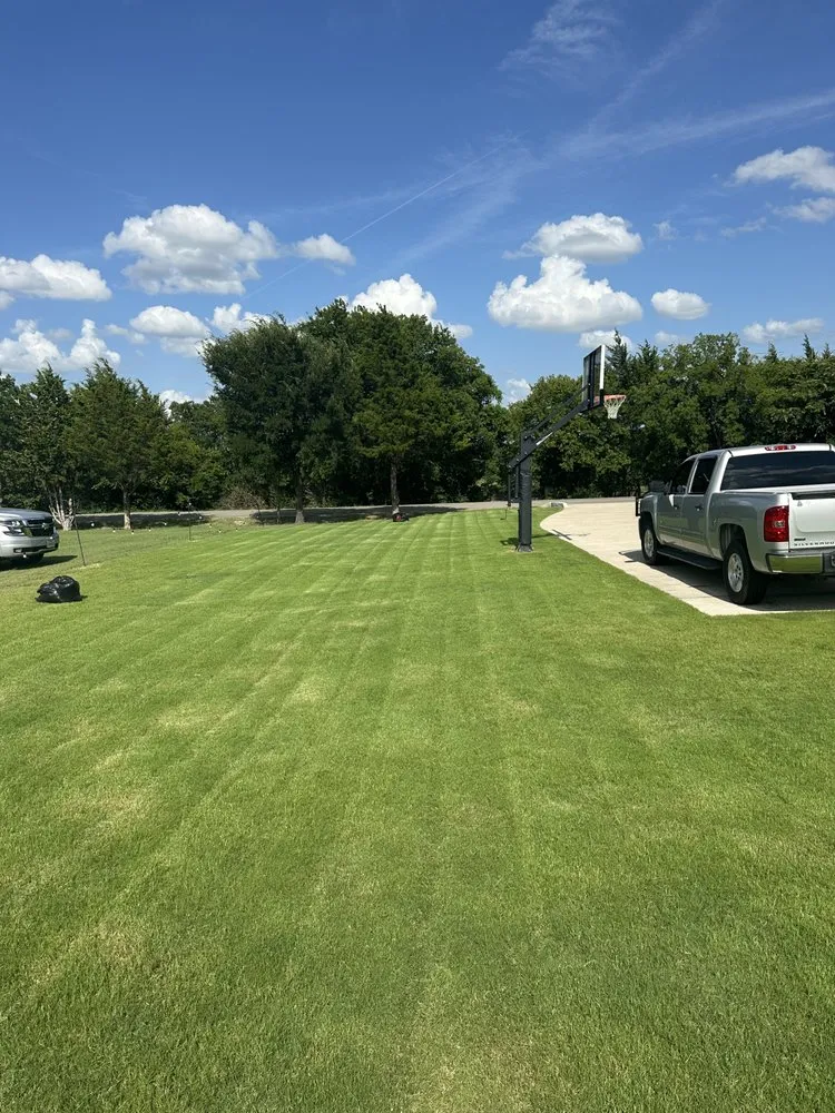 Expert landscape design for outdoor upgrades in Dallas, TX by Mitchell Mowing