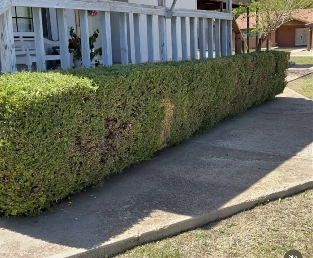 Reliable garden landscaping in Dallas, TX by Mitchell Mowing