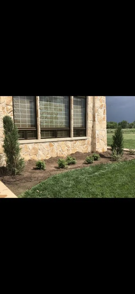 Affordable lawn mowing service in Dallas, TX by Mitchell Mowing