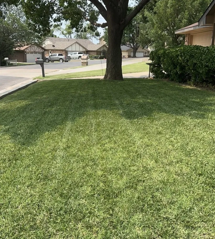 Professional residential landscaping experts serving Dallas, TX - Mitchell Mowing